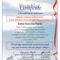 Powiększ obraz: certificate 4