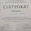 Powiększ obraz: certificate 43