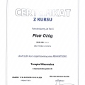 Powiększ obraz: certificate 9