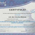 Powiększ obraz: certificate 4