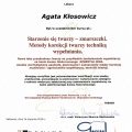 Powiększ obraz: certificate 17