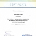Powiększ obraz: certificate 1
