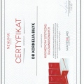 Powiększ obraz: certificate 10