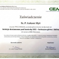 Powiększ obraz: certificate 8