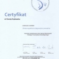 Powiększ obraz: certificate 7