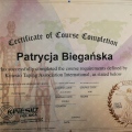 Powiększ obraz: certificate 9