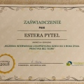 Powiększ obraz: certificate 9