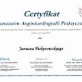 Powiększ obraz: certificate 43