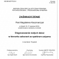 Powiększ obraz: certificate 8