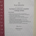 Powiększ obraz: certificate 7