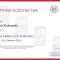 Powiększ obraz: certificate 4
