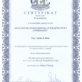 Powiększ obraz: certificate 11
