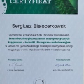 Powiększ obraz: certificate 12