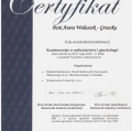 Powiększ obraz: certificate 17
