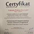 Powiększ obraz: certificate 1