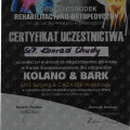 Powiększ obraz: certificate 8
