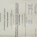 Powiększ obraz: certificate 25