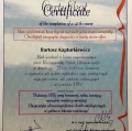 Powiększ obraz: certificate 11