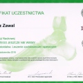 Powiększ obraz: certificate 2