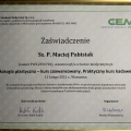 Powiększ obraz: certificate 1