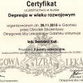 Powiększ obraz: certificate 3