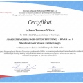 Powiększ obraz: certificate 3