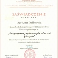 Powiększ obraz: certificate 4