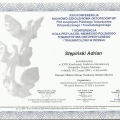 Powiększ obraz: certificate 31