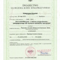 Powiększ obraz: certificate 6