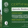 Powiększ obraz: certificate 9