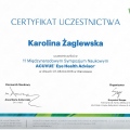 Powiększ obraz: certificate 9