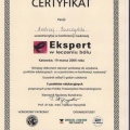 Powiększ obraz: certificate 12