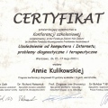 Powiększ obraz: certificate 9