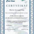 Powiększ obraz: certificate 9
