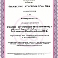 Powiększ obraz: certificate 7