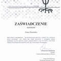 Powiększ obraz: certificate 8