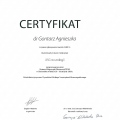 Powiększ obraz: certificate 5