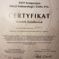 Powiększ obraz: certificate 11