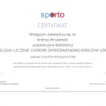 Powiększ obraz: certificate 4