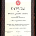 Powiększ obraz: certificate 1