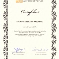 Powiększ obraz: certificate 3