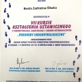 Powiększ obraz: certificate 7