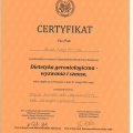 Powiększ obraz: certificate 3