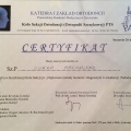 Powiększ obraz: certificate 31