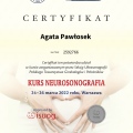 Powiększ obraz: certificate 9