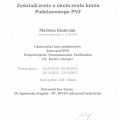 Powiększ obraz: certificate 5