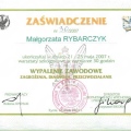 Powiększ obraz: certificate 9