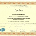 Powiększ obraz: certificate 6