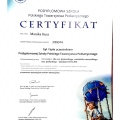 Powiększ obraz: certificate 8