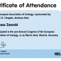 Powiększ obraz: certificate 6